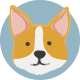 Honden