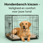 hondenbench