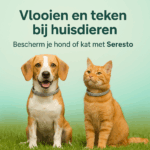 vlooien en teken bij huisdieren